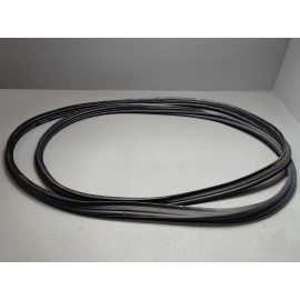 2019-2025 TOYOTA RAV4 DOOR BODY WEATHERSTRIP SEAL OEM