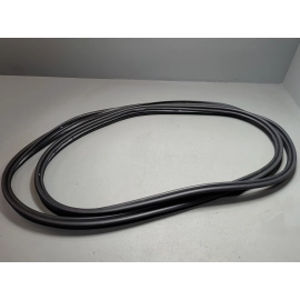 2019-2025 TOYOTA RAV4 DOOR BODY WEATHERSTRIP SEAL OEM