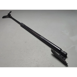 2019-2025 Toyota RAV4 Tailgate Liftgate Passenger Side Lift Support Cylinder OEM