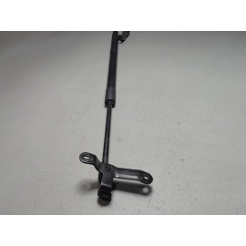 2019-2025 Toyota RAV4 Tailgate Liftgate Passenger Side Lift Support Cylinder OEM