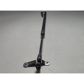 2019-2025 Toyota RAV4 Tailgate Liftgate Passenger Side Lift Support Cylinder OEM