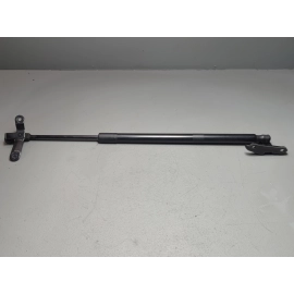 2019-2025 Toyota RAV4 Tailgate Liftgate Passenger Side Lift Support Cylinder OEM