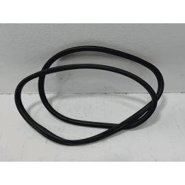 2024-2026 BUICK ENVISTA REAR LEFT DRIVER SIDE DOOR ON BODY WEATHERSTRIP SEAL OEM