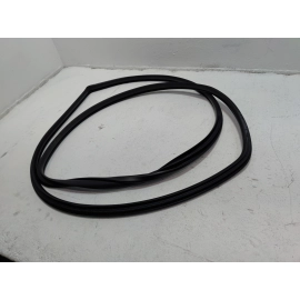 2019-2025 Toyota RAV4 Front Left Driver Side Door Body Weatherstrip Seal OEM