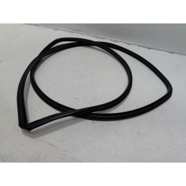 2019-2025 Toyota RAV4 Front Left Driver Side Door Body Weatherstrip Seal OEM
