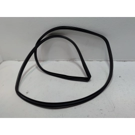 2019-2025 Toyota RAV4 Front Left Driver Side Door Body Weatherstrip Seal OEM