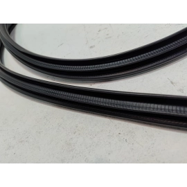 2019-2025 Toyota RAV4 Front Right Passenger Side Door Body Weatherstrip Seal OEM