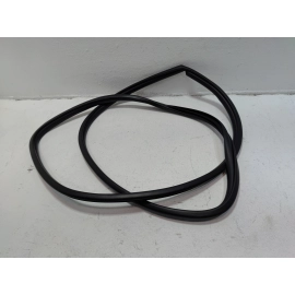 2019-2025 Toyota RAV4 Front Right Passenger Side Door Body Weatherstrip Seal OEM