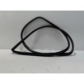 2019-2025 Toyota RAV4 Front Right Passenger Side Door Body Weatherstrip Seal OEM