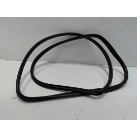 2019-2025 Toyota RAV4 Front Right Passenger Side Door Body Weatherstrip Seal OEM