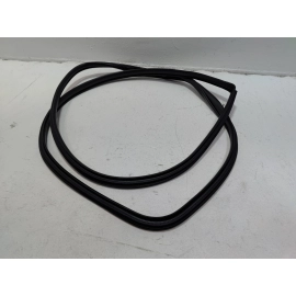 2019-2025 Toyota RAV4 Front Right Passenger Side Door Body Weatherstrip Seal OEM