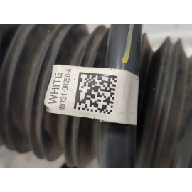 2019 - 2025 Toyota RAV4 Left Driver Side Strut Absorber Shock Assembly OEM