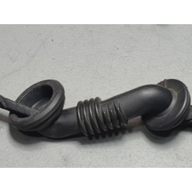 2019-2022 Toyota RAV4 Rear Back Door Tailgate Liftgate Wire Wiring Harness OEM