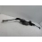 2018-2025 VOLKSWAGEN ATLAS POWER STEERING RACK AND PINION OEM