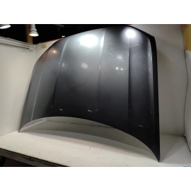 2021-2025 Volkswagen Atlas Front Hood Panel Gray OEM