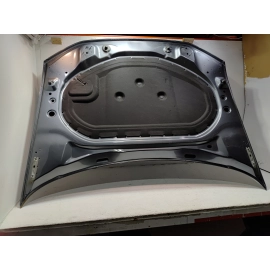 2021-2025 Volkswagen Atlas Front Hood Panel Gray OEM