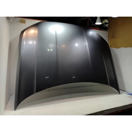 2021-2025 Volkswagen Atlas Front Hood Panel Gray OEM