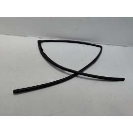 HONDA PILOT REAR PASSENGER DOOR GLASS RUN CHANNEL WEATHERSTRIP SEAL 2016-21 OEM