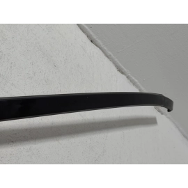 2016-2022 HONDA PILOT ROOF RIGHT OR LEFT MOLDING ASSEMBLY OEM