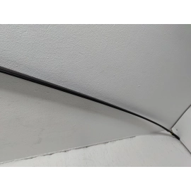 2016-2022 HONDA PILOT ROOF RIGHT OR LEFT MOLDING ASSEMBLY OEM