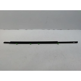 2016-2022 Honda Pilot Rear Right Passenger Door Window Belt Molding OEM