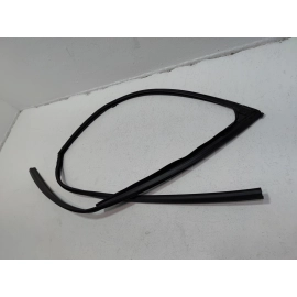 2016-2021 HONDA PILOT FRONT RIGHT SIDE DOOR WINDOW GLASS RUN CHANNEL SEAL OEM