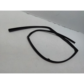 2016-2021 HONDA PILOT FRONT RIGHT SIDE DOOR WINDOW GLASS RUN CHANNEL SEAL OEM