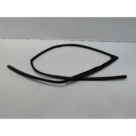 2016-2021 HONDA PILOT FRONT RIGHT SIDE DOOR WINDOW GLASS RUN CHANNEL SEAL OEM