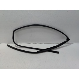 2016-2021 HONDA PILOT FRONT RIGHT SIDE DOOR WINDOW GLASS RUN CHANNEL SEAL OEM