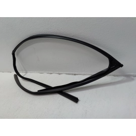 2016-2021 HONDA PILOT FRONT RIGHT SIDE DOOR WINDOW GLASS RUN CHANNEL SEAL OEM