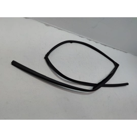2016-2021 HONDA PILOT FRONT RIGHT SIDE DOOR WINDOW GLASS RUN CHANNEL SEAL OEM