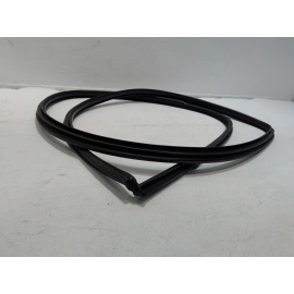 Toyota Camry Front Left Driver Door Body Weatherstrip Inner Seal 2018-2024 OEM