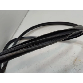 2019-2024 TOYOTA RAV4 REAR LEFT DRIVER SIDE DOOR BODY WEATHERSTRIP SEAL OEM