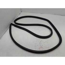 2019-2024 TOYOTA RAV4 REAR LEFT DRIVER SIDE DOOR BODY WEATHERSTRIP SEAL OEM