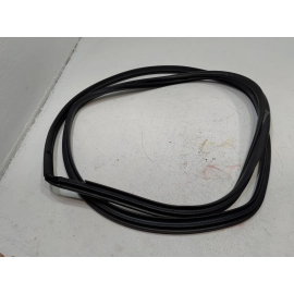 2019-2024 TOYOTA RAV4 REAR LEFT DRIVER SIDE DOOR BODY WEATHERSTRIP SEAL OEM