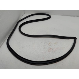 2019-2024 TOYOTA RAV4 REAR LEFT DRIVER SIDE DOOR BODY WEATHERSTRIP SEAL OEM