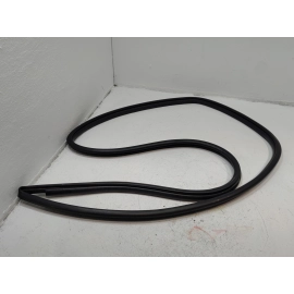 2019-2024 TOYOTA RAV4 REAR LEFT DRIVER SIDE DOOR BODY WEATHERSTRIP SEAL OEM