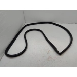 2019-2024 TOYOTA RAV4 REAR LEFT DRIVER SIDE DOOR BODY WEATHERSTRIP SEAL OEM