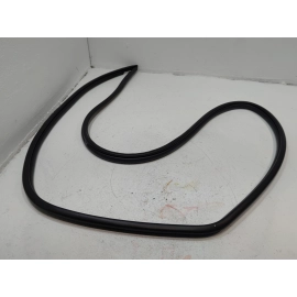 2019-2024 TOYOTA RAV4 REAR LEFT DRIVER SIDE DOOR BODY WEATHERSTRIP SEAL OEM