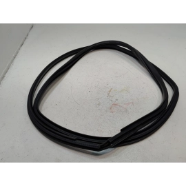 2019-2024 TOYOTA RAV4 REAR LEFT DRIVER SIDE DOOR BODY WEATHERSTRIP SEAL OEM