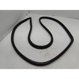 2019-2024 TOYOTA RAV4 REAR LEFT DRIVER SIDE DOOR BODY WEATHERSTRIP SEAL OEM