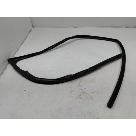 OEM FRONT PASSENGER SIDE DOOR WINDOW GLASS RUN CHANNEL SEAL 19-2025 TOYOTA RAV4