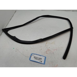 OEM FRONT PASSENGER SIDE DOOR WINDOW GLASS RUN CHANNEL SEAL 19-2025 TOYOTA RAV4