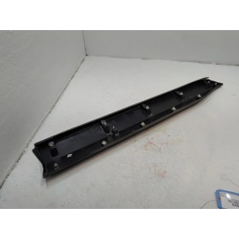 OEM FRONT RIGHT PASSENGER SIDE DOOR LOWER MOLDING 2019 - 2025 TOYOTA RAV4