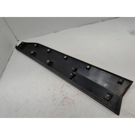 OEM FRONT RIGHT PASSENGER SIDE DOOR LOWER MOLDING 2019 - 2025 TOYOTA RAV4