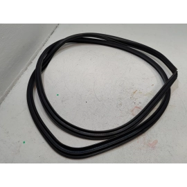 2019-2024 TOYOTA RAV4 FRONT RIGHT PASSENGER SIDE DOOR BODY WEATHERSTRIP SEAL OEM