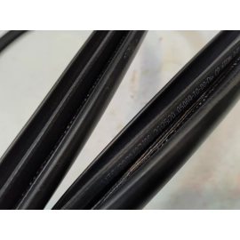 2019-2024 TOYOTA RAV4 FRONT RIGHT PASSENGER SIDE DOOR BODY WEATHERSTRIP SEAL OEM