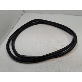 2019-2024 TOYOTA RAV4 FRONT RIGHT PASSENGER SIDE DOOR BODY WEATHERSTRIP SEAL OEM