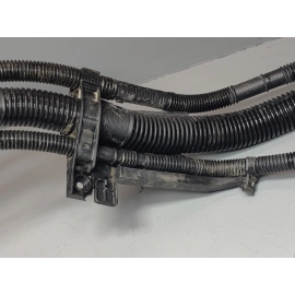 2019-2025 Toyota RAV4 Hybrid Fuel Tank Filler Neck Hose Tube Pipe OEM