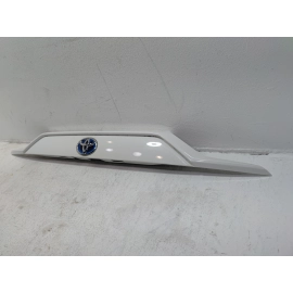 2019-2025 TOYOTA RAV4 REAR OUTSIDE BACK DOOR TAILGATE GARNISH PANEL OEM RED 040